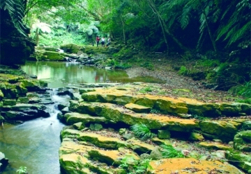 澀水森林步道